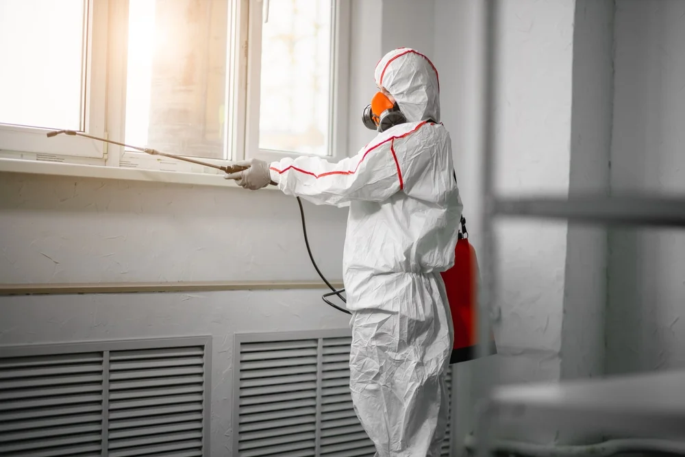 Professional mold remediation services in Mexico Beach, FL
